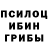 Галлюциногенные грибы Cubensis Kirill Grebeshkov