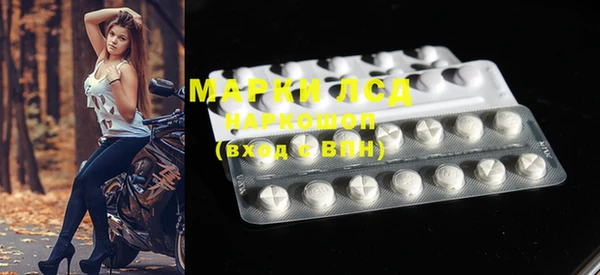 мдпв Каменка