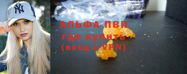 мдпв Каменка