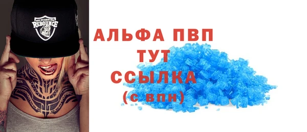 спайс Касимов
