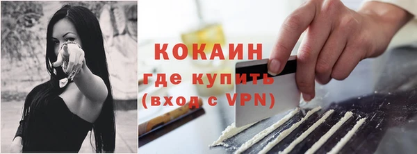 мдпв Каменка