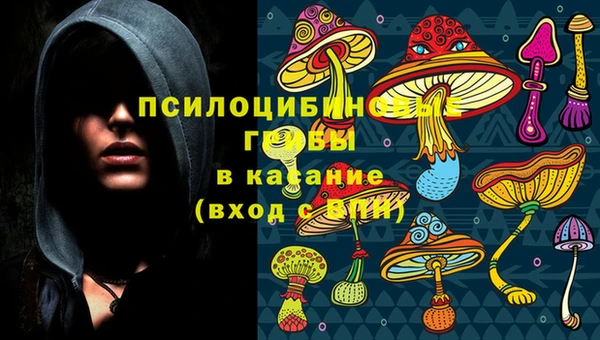 MESCALINE Каменногорск