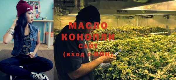 мдпв Каменка