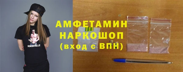мдпв Каменка