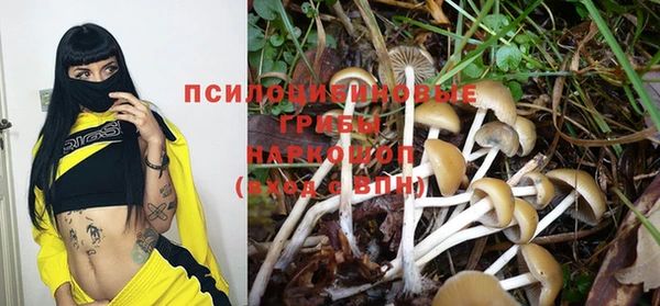 синтетический гашиш Каменск-Шахтинский