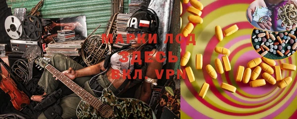 мдпв Каменка
