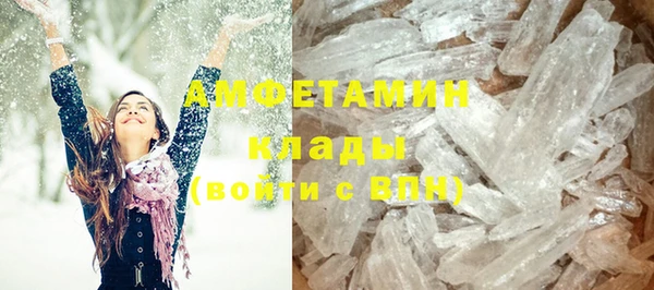мдпв Каменка