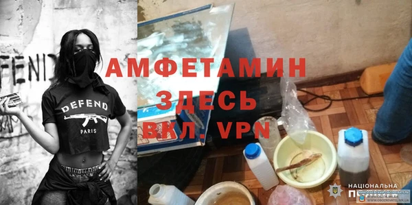 мдпв Каменка