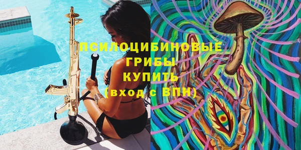 мдпв Каменка