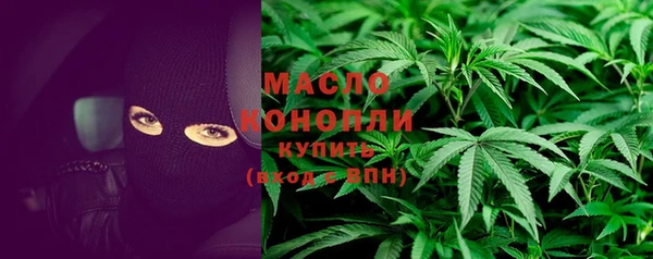 мдпв Каменка