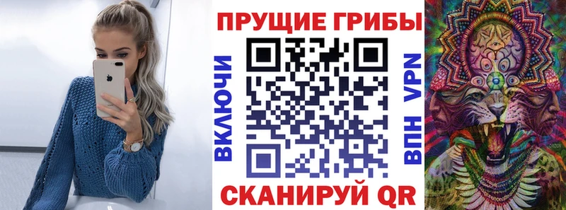 Купить где  Володарск  Псилоцибиновые грибы мицелий 